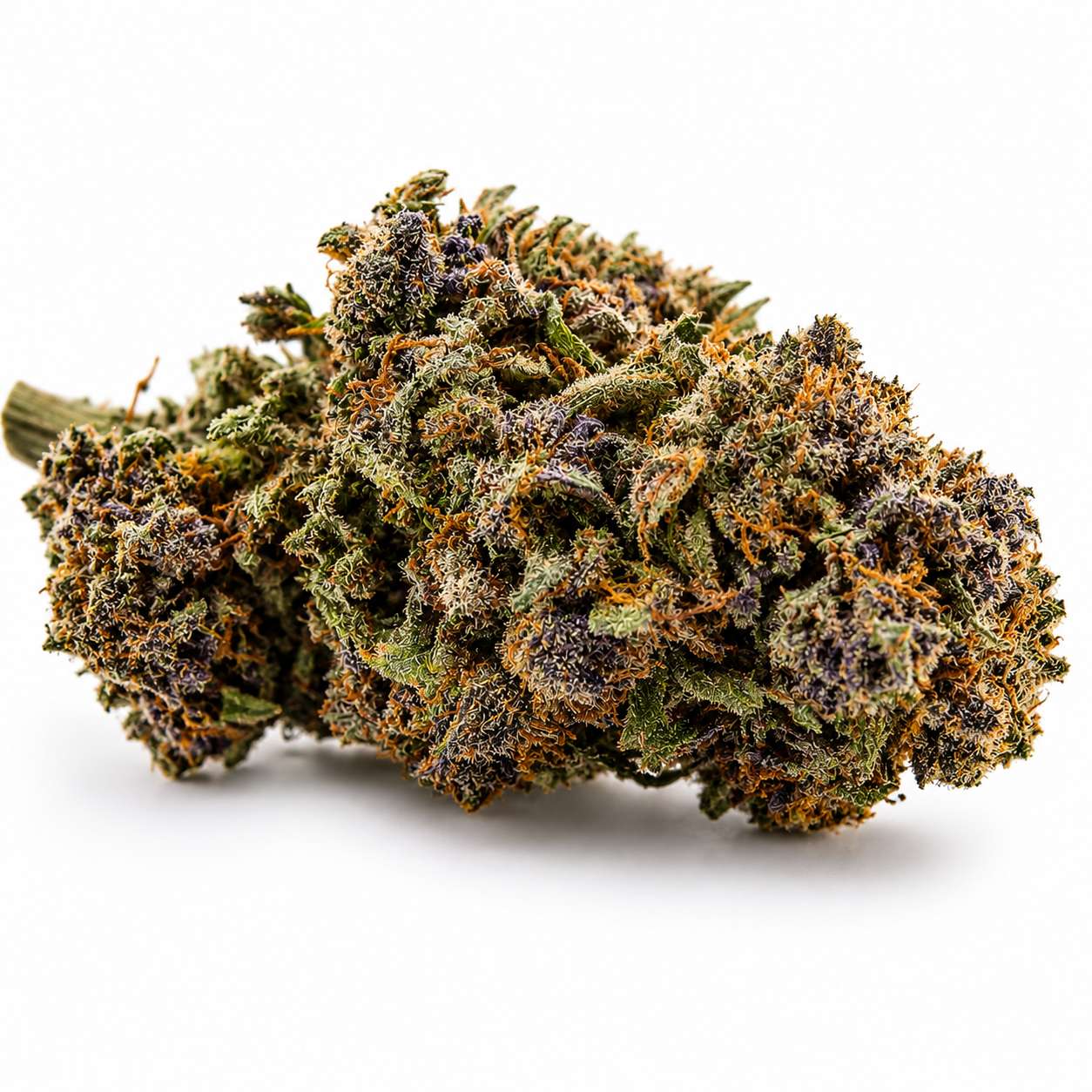 Blueberry Cookies CBD Topskud – 25% CBD | Premium CBD Blomst