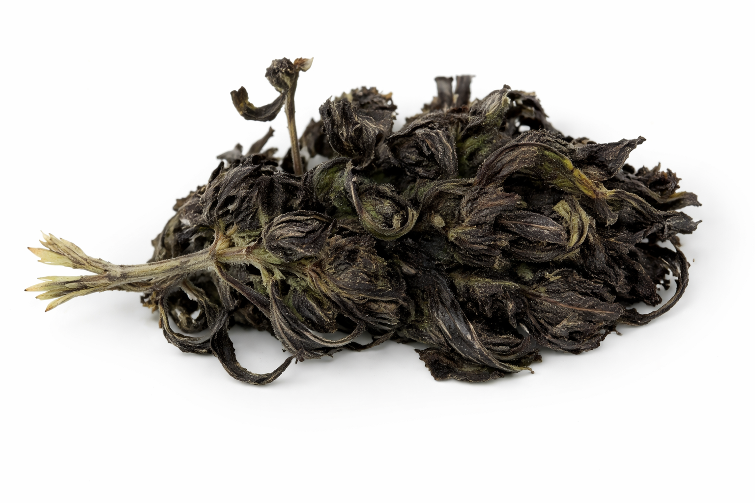 Western Blackberry CBD 9,21%