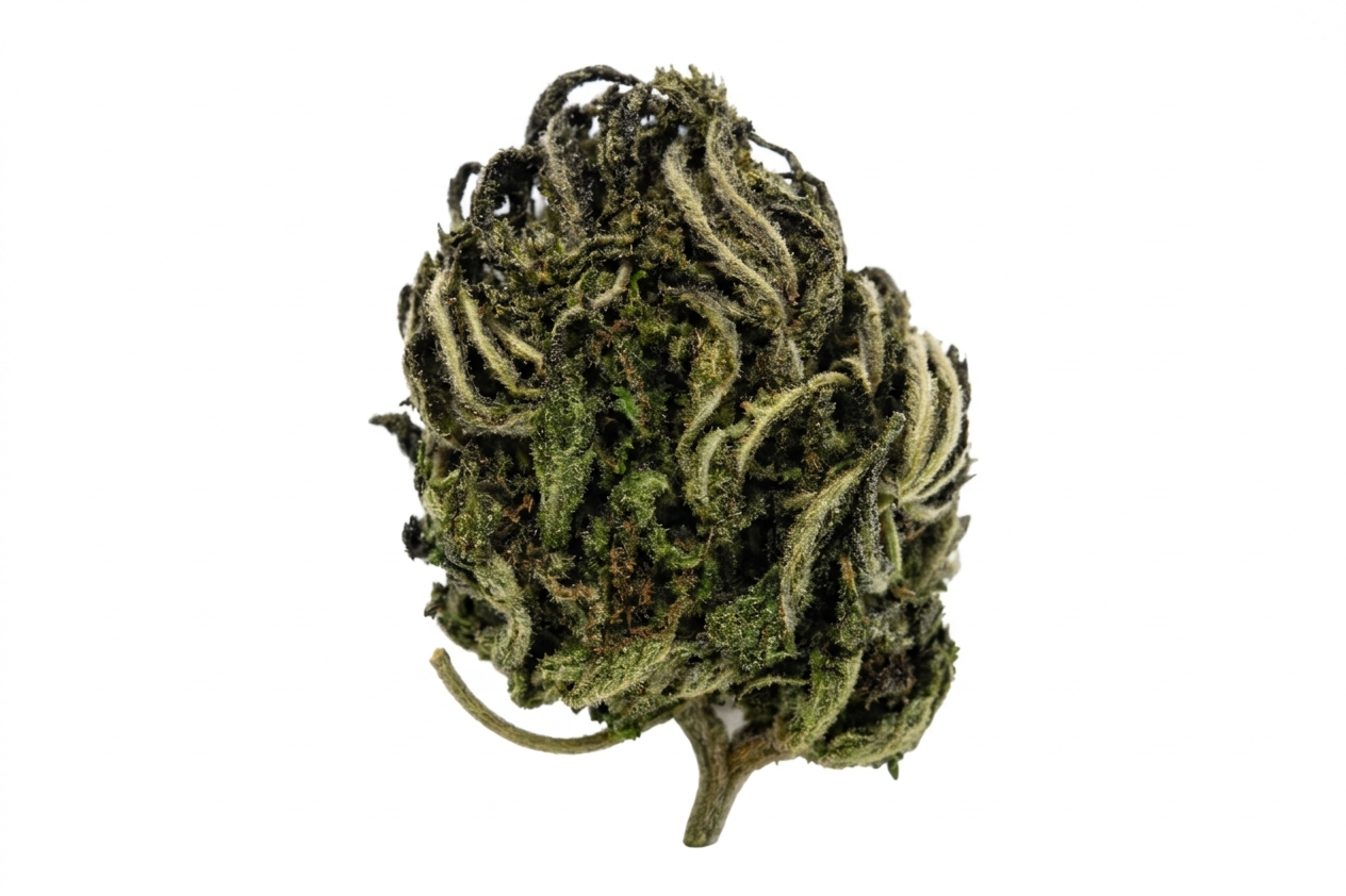 Morning Glory CBD 9,90%