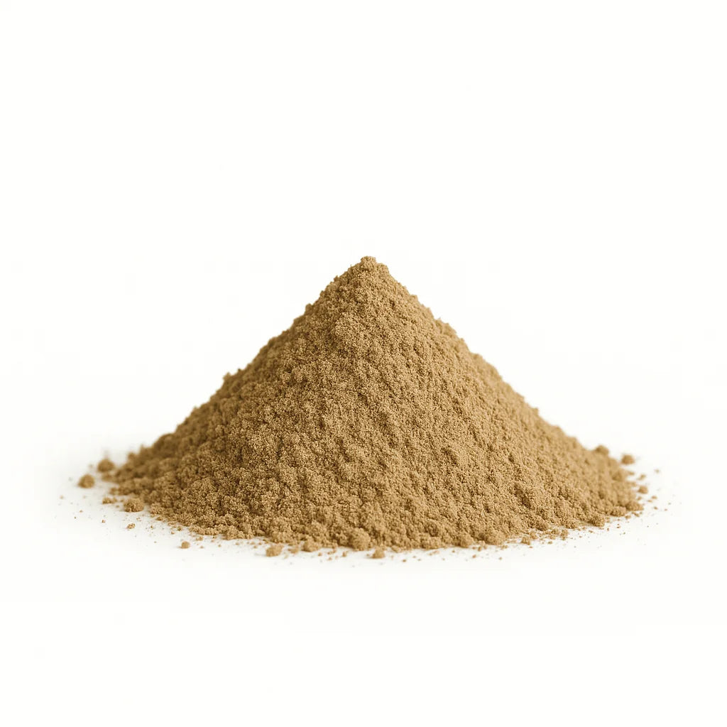 Baldrianrod Pulver (Valeriana officialis)