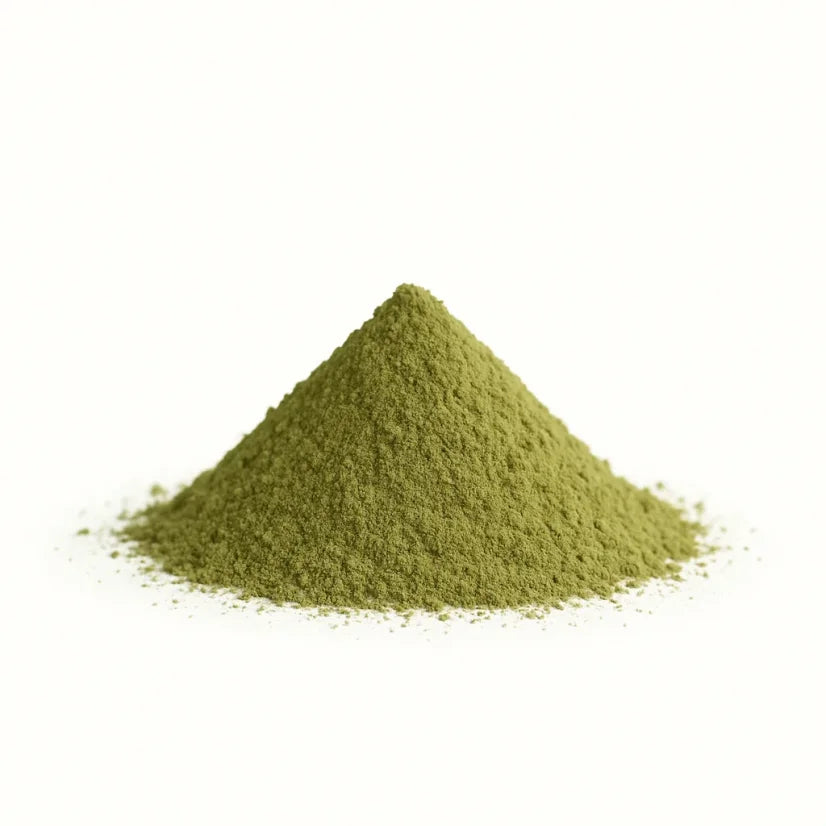 Ginkgo Biloba Powder Extract – 24% flavonoider & 6% lactoner