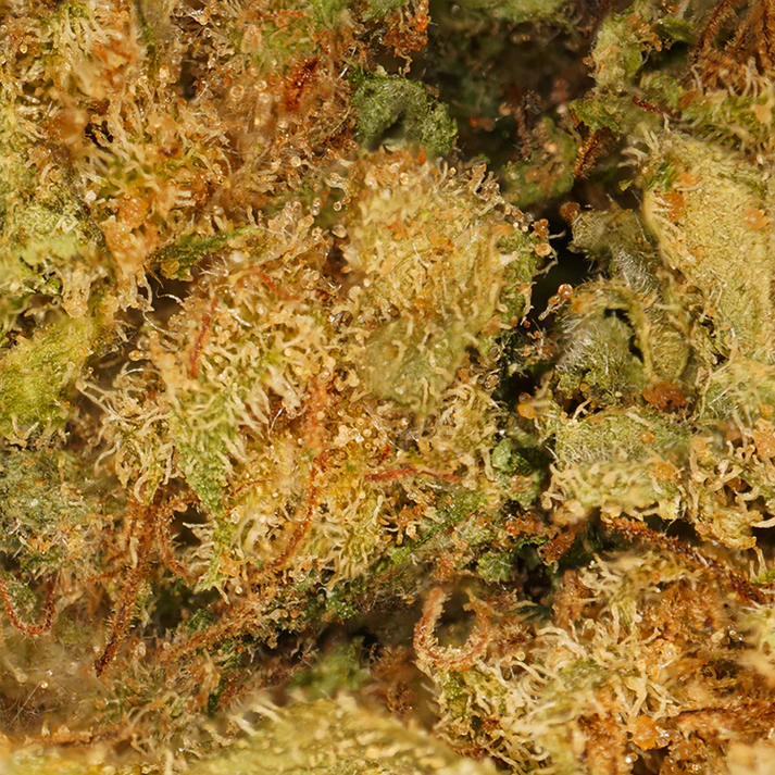 Hemp flowers Gelato CBD 9%