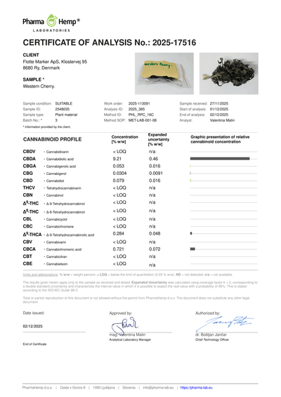 Western Blackberry CBD 9,21%